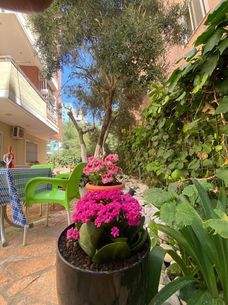 Olive Tree Apartment Саранда Екстер'єр фото