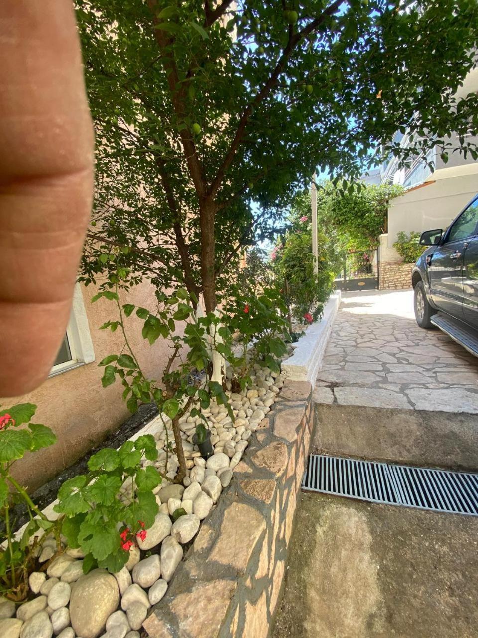 Olive Tree Apartment Саранда Екстер'єр фото
